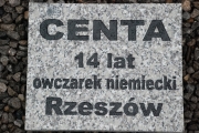 Cmentarz dla zwierząt GRANICA