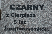 Cmentarz dla zwierząt GRANICA